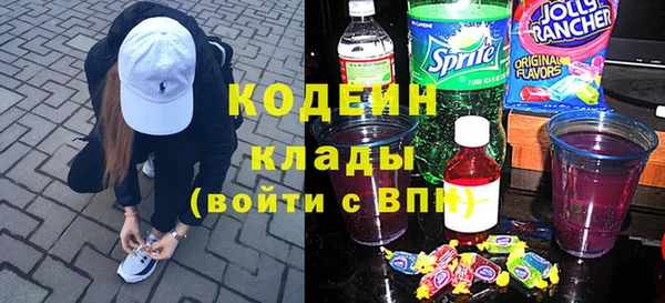 крисы Верхний Тагил