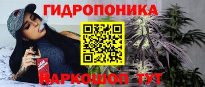 трава Кинель