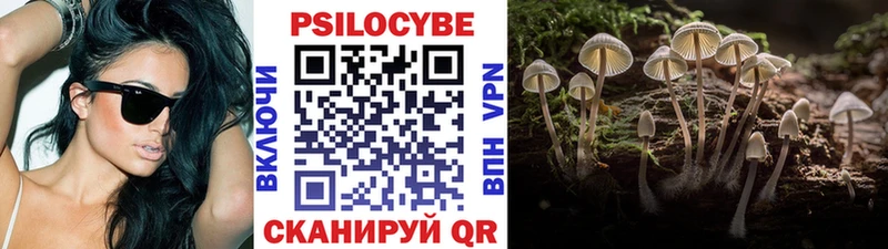 Галлюциногенные грибы Psilocybe  blacksprut ссылки  Киреевск 