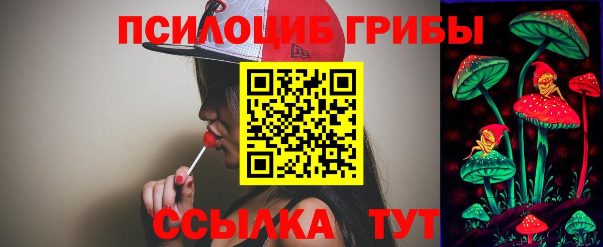 где можно купить наркотик  Псилоцибиновые грибы мухоморы  Вход с VPN  Киреевск 