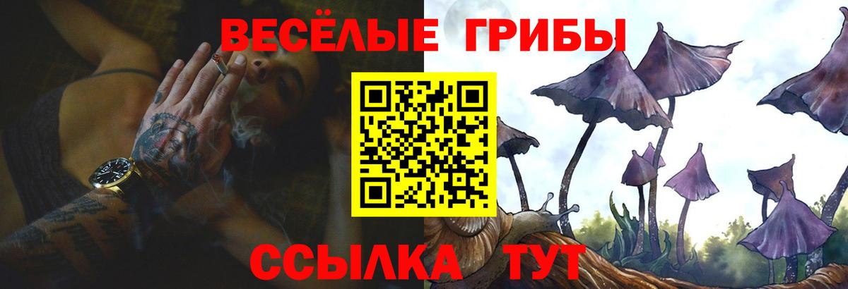 Галлюциногенные грибы прущие грибы Киреевск
